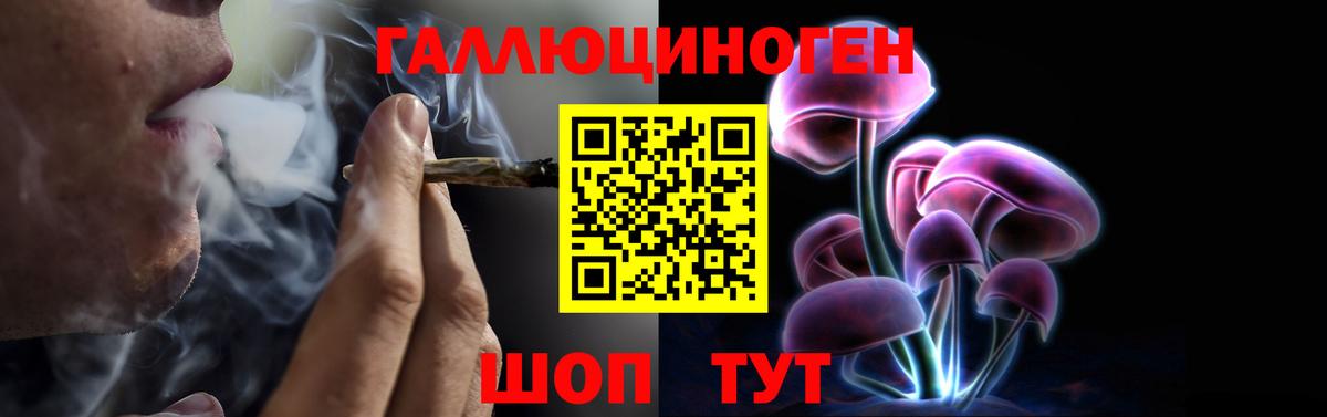 Галлюциногенные грибы Psilocybe  Вход с VPN  Обь  Псилоцибиновые грибы Psilocybe 