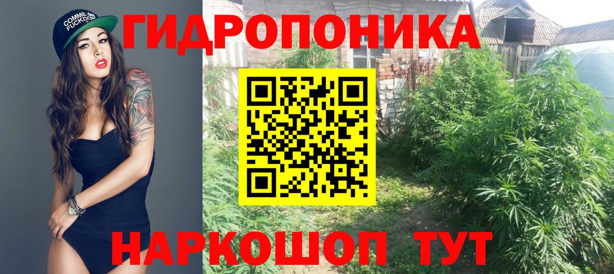 МАРИХУАНА конопля  Марихуана AK-47  Каннабис сатива  Обь  Вход с VPN 